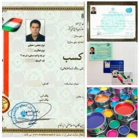 نقاشی رنگ آمیزی نقاش ساختمان (کل شهرعضواتحادیه)