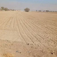 ورق ژئوممبران