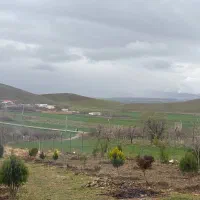 اجاره-نیم-هکتار-باغ-انگور