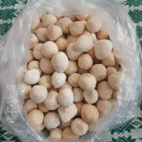 کشک خشک تازه