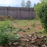 ۲۶۰متر زمین نامه بنیاد داره