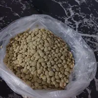 عدس دمی اردبیل
