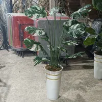 گلدان و گل مصنوعی خارجی|گل مصنوعی|شیراز, سهل‌آباد|دیوار