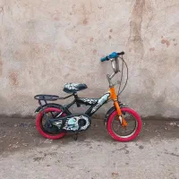 دو عدد دوچرخه ۱۲ زیر قیمت