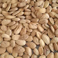 مغز بادام و بادام|خوردنی و آشامیدنی|تهران, سلسبیل جنوبی|دیوار
