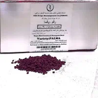 یک واحد بذر چغندر منو تو