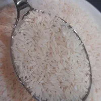 برنج طارم هاشمی درجه یک|خوردنی و آشامیدنی|تهران, ابوذر|دیوار