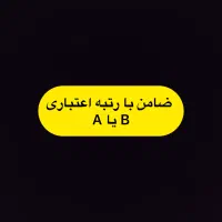 ضامن رتبه A یا B