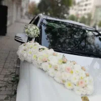 ماشین عروس و سفره عقد و تالار اقتصادی