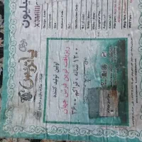 فرش ۱۲۰۰ شانه تراکم ۳۶۰۰|فرش|ارومیه, |دیوار