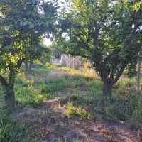 باغ-میوه-وبرای-تفریح-سرمایه-گذاری-برای-خانواده