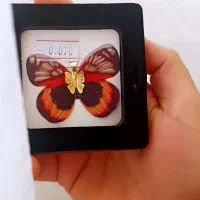 آویز پروانه کادویی