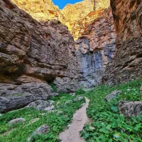 تور اخلمد گردی