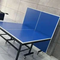 miz پینگ پنگ در مدل های مختلف