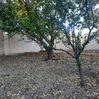 باغ ویلا شاهنامه ۸۰