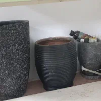 گلدان|گل و گیاه طبیعی|تهران, فلاح|دیوار