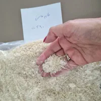 برنج طارم هاشمی