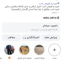 خرید فروش اسب صحرا|اسب و تجهیزات اسبسواری|کردکوی, |دیوار