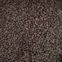 لوبیا ریز روغنی