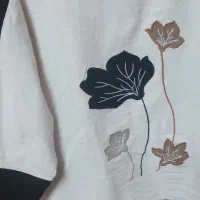 فری