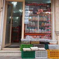 فروش یخچال ۱۵۰ مخصوص مرغ‌گوشت‌سوپرمارکت|فروشگاه و مغازه|آستانه اشرفیه, |دیوار