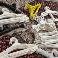 چوب کار رگال