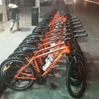 پخش انواع دوچرخه بزرگسال و کودک