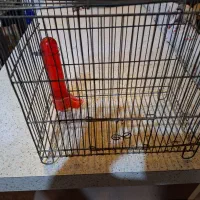 وسایل مورد نیاز هرخانه|بخاری، هیتر، شومینه|رستم‌آباد, |دیوار