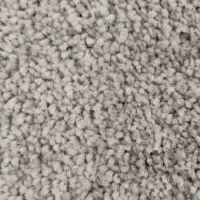 موکت پالاز  نو پرز بلند پشمی    همه باهم ۳۰۰تومن|موکت|اهواز, کوروش|دیوار