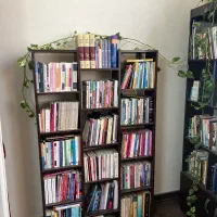 کتابخانه|کتابخانه، شلف، قفسههای دیواری|تهران, جمهوری|دیوار