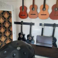 انواع گیتار ایرانی و خارجی