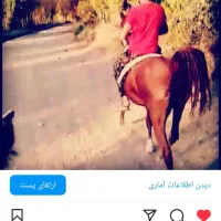 مادیان مدرک دار. با کره نریان ۲۰روزه|اسب و تجهیزات اسبسواری|نهاوند, |دیوار