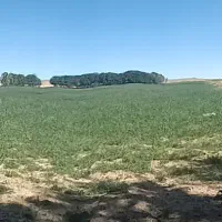 خانه یک خوابه در الهیه فاز ۲