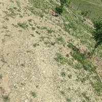 باغشهر مینو دشت