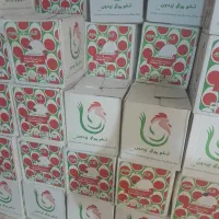 پخش تخم مرغ زیر قیمت تحویل درمحل