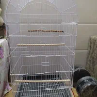 قفس طوطی با وسایل