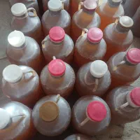 عسل با کیفیت بهاره
