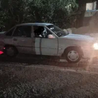 دوو سیلو مدل ۸۱