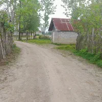 زمین باغی|فروش زمین و ملک کلنگی|تولم شهر, |دیوار