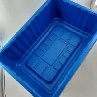 ظرف بسته بندی قارچ