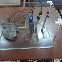 اکواریوم شیشه خم شرکتی|ماهی|تهران, جوادیه تهرانپارس|دیوار