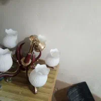 لوستر
