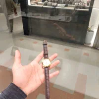 ساعت گلدکوئست 24 عیار|ساعت|اهواز, گلستان|دیوار