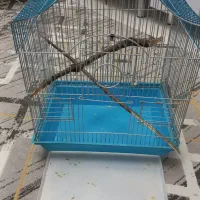 فروش و معاوضه قفس پرنده