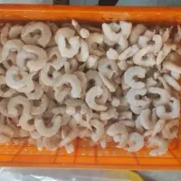 میگو کیلویی|ماهی|خرمشهر, |دیوار