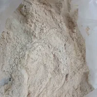 گرده درخت نخل
