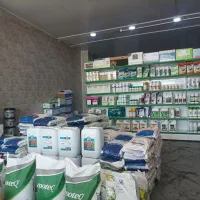 سم و کود،بذر و مشاوره تغذیه، آفات و بیماری