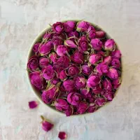 خریدغنچه لاله زار کرمان