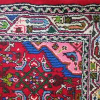 قالی بیجار دست باف|فرش|همدان, |دیوار