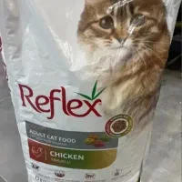 غدایه سگ گربه از عراق وارد میکنم سفارش بدین